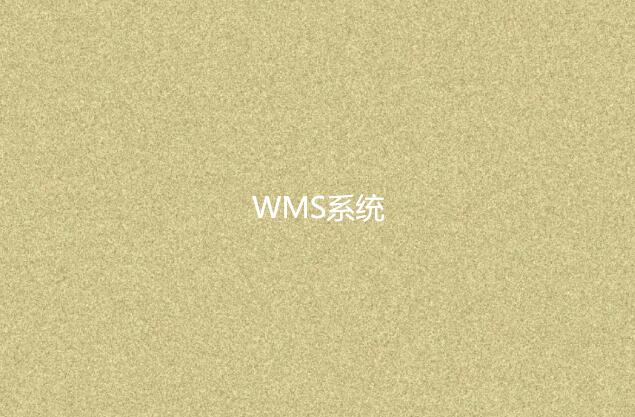 WMS系統(tǒng)適合小型企業(yè)嗎？